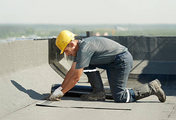Best Fiberglass Insulation  in Ocean Ridge, FL