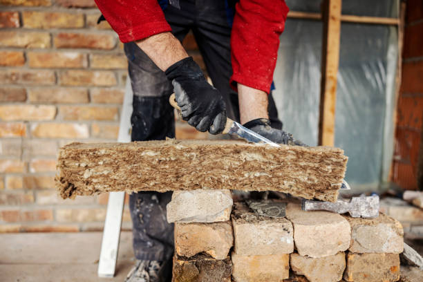 Best Home Insulation Services  in Ocean Ridge, FL